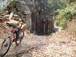 One of Angkor Wat temple in nature with big tree with scaffolding